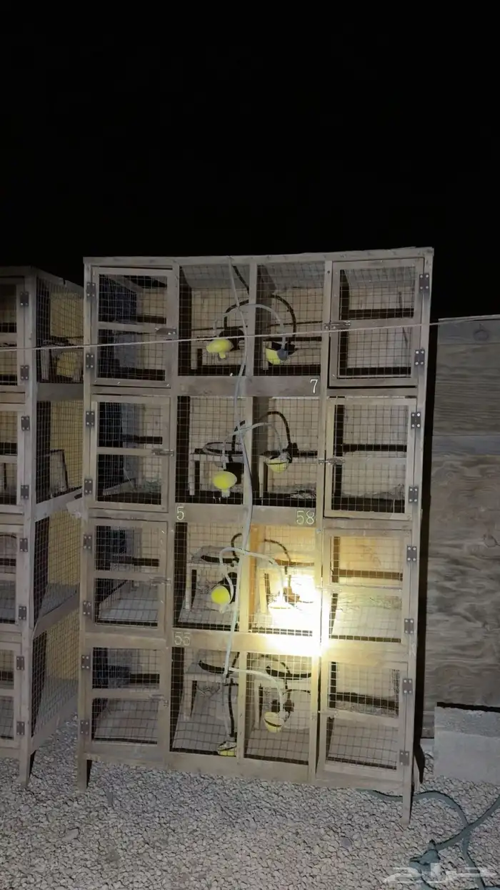 محاكر 8 محاكر 1