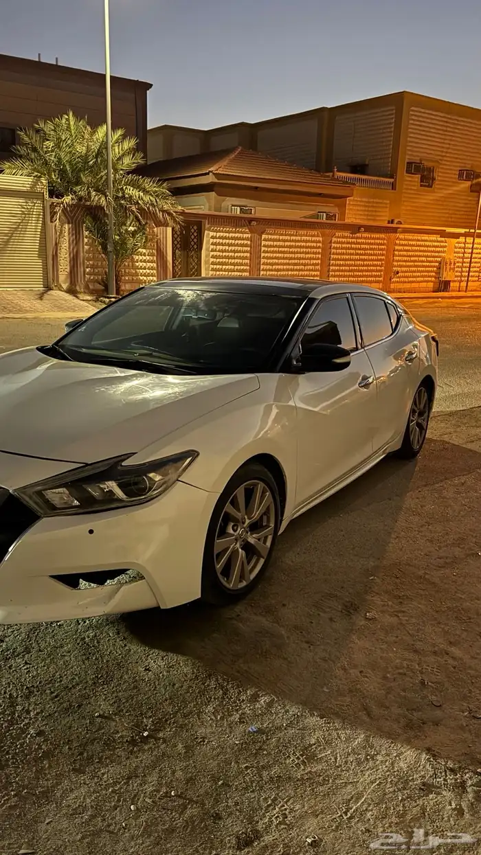 ماكسيما2016 كويتيه 2