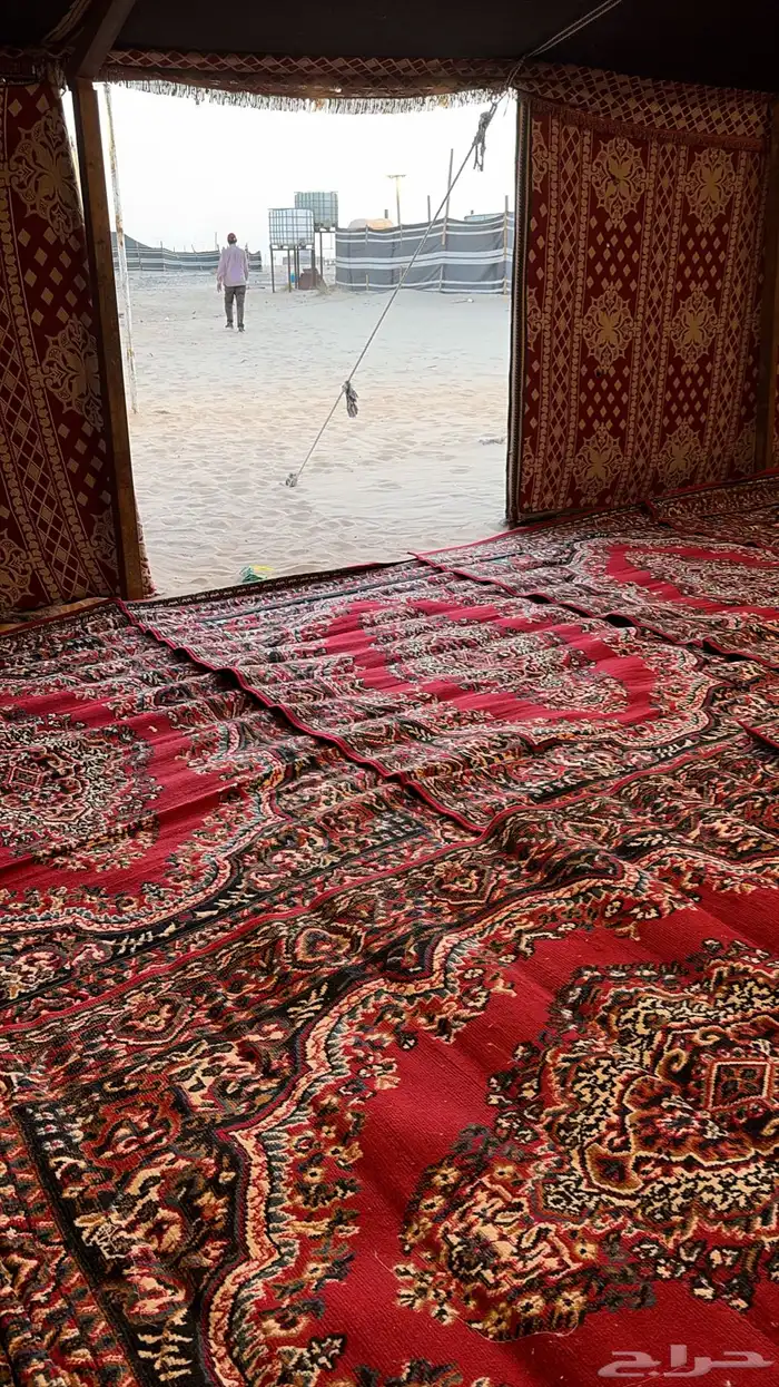 مخيم VIP الدانة بالجبيل 6