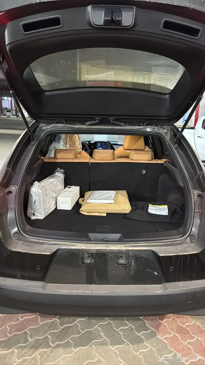 لكزس UX300 فئة AH هايبرد 2024 11