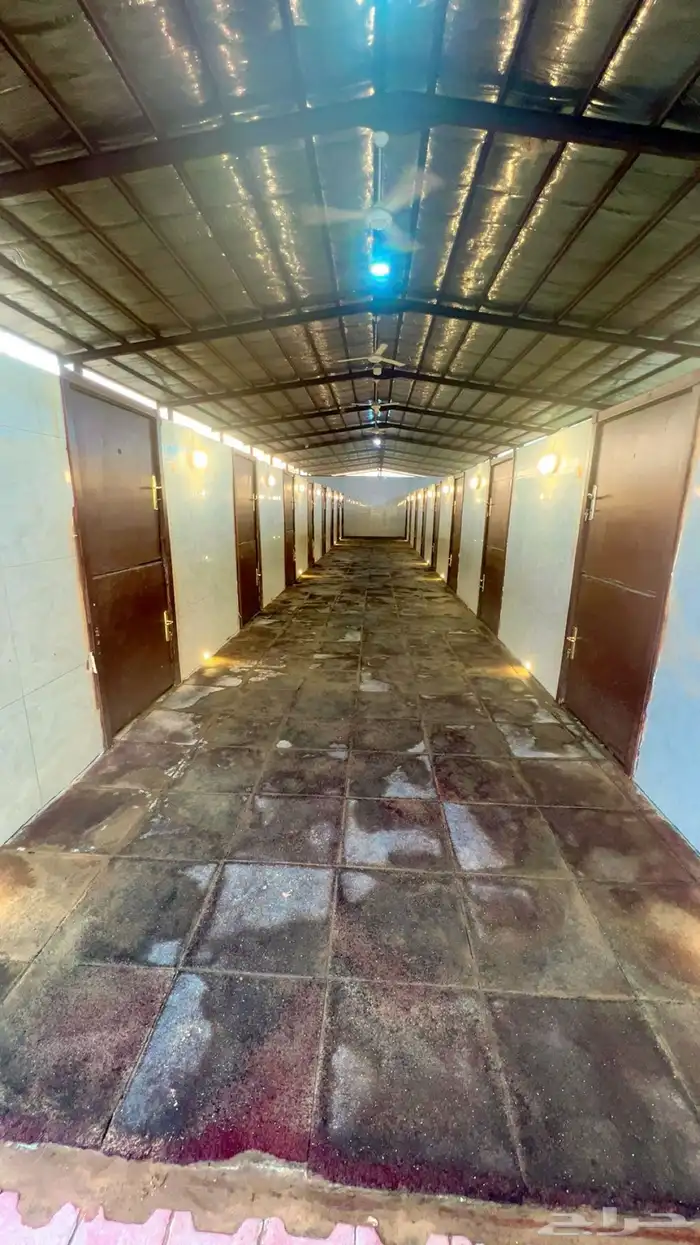 ايواء اسطبل مشعل طيبة ( الجرف) 15