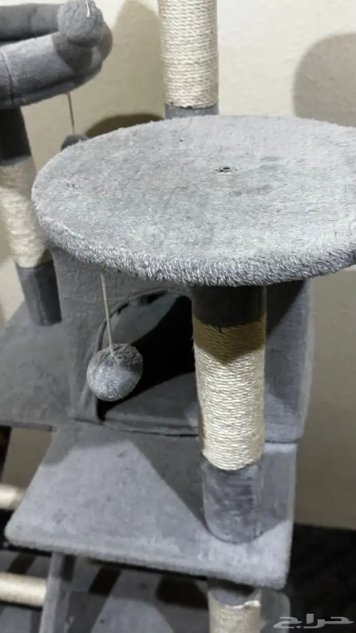 بيت قطط كبير 8