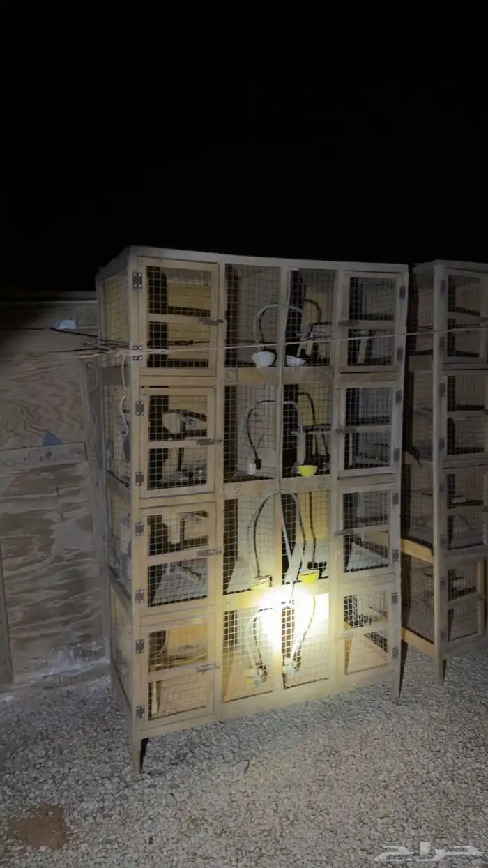 محاكر 8 محاكر 0