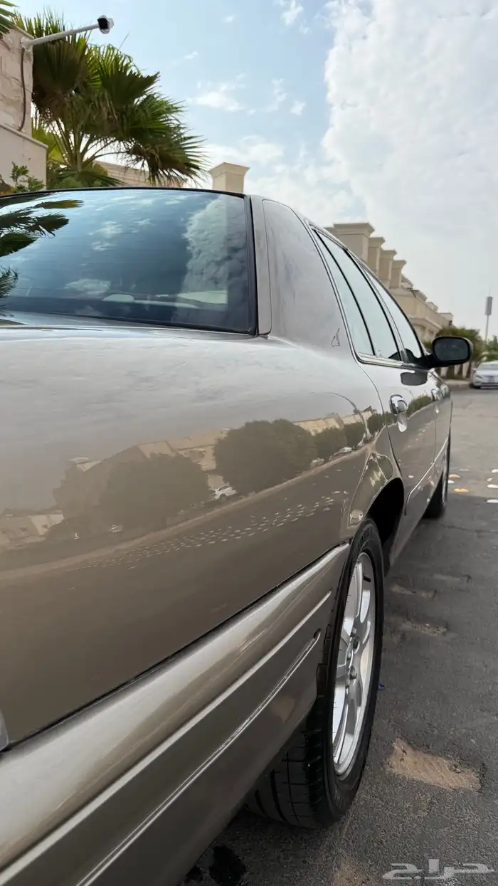 كراون فكتوريا 19