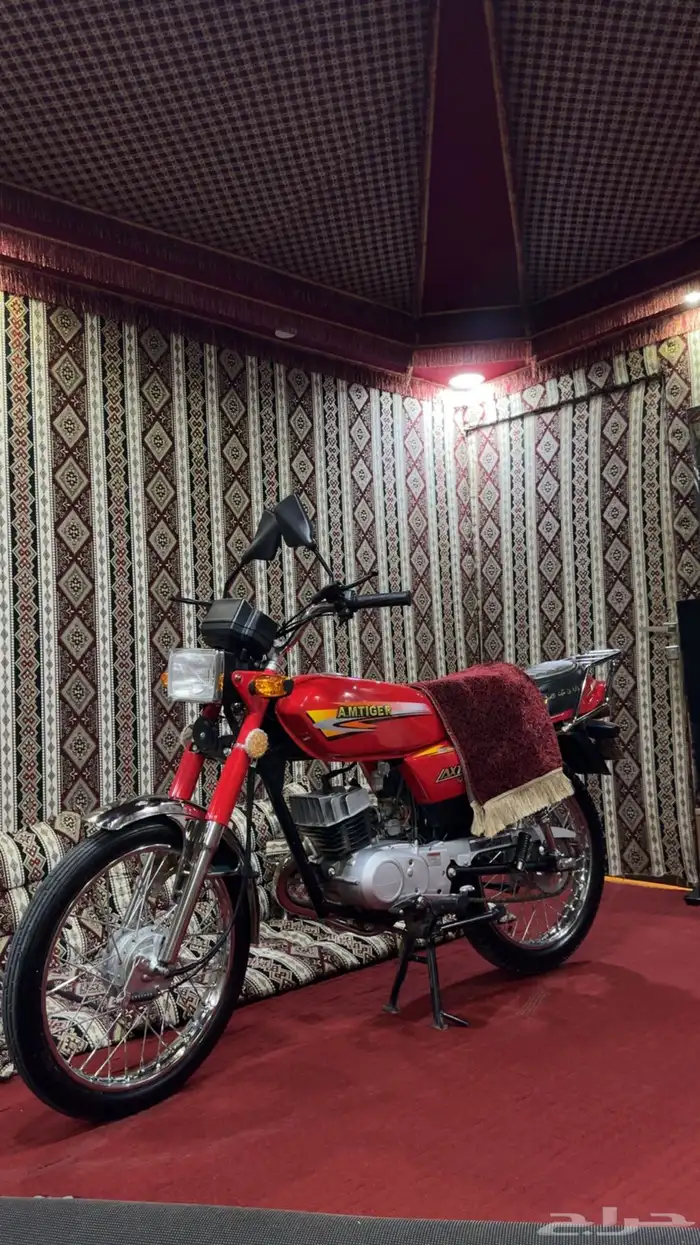 دباب اكس ميه وارد بن ثابت 2