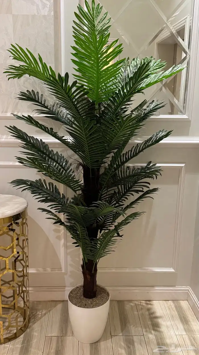 مدخل استقبال للبيع 2