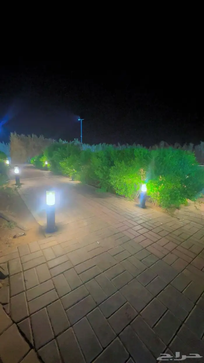 ايواء اسطبل مشعل طيبة ( الجرف) 9