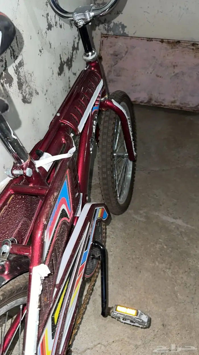 رامبو عنابي ) 1