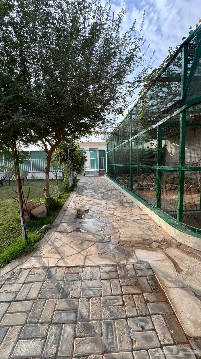 شالية ومربط للإيجار 4