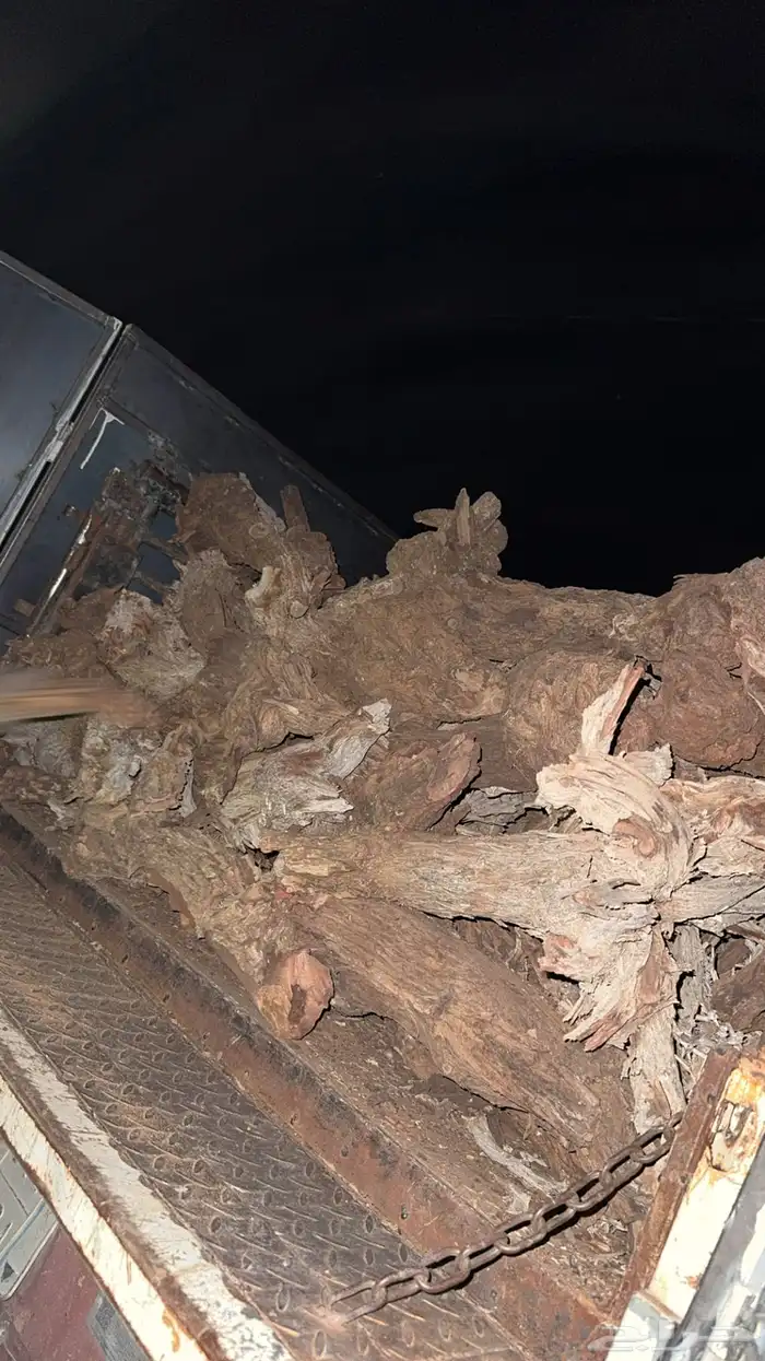 رياض الخبراء 4