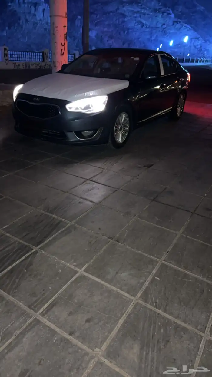 كادينزا 2015 10