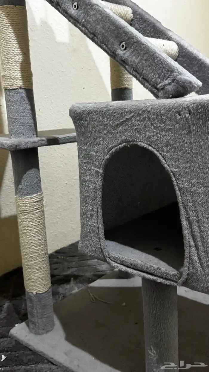 بيت قطط كبير 1