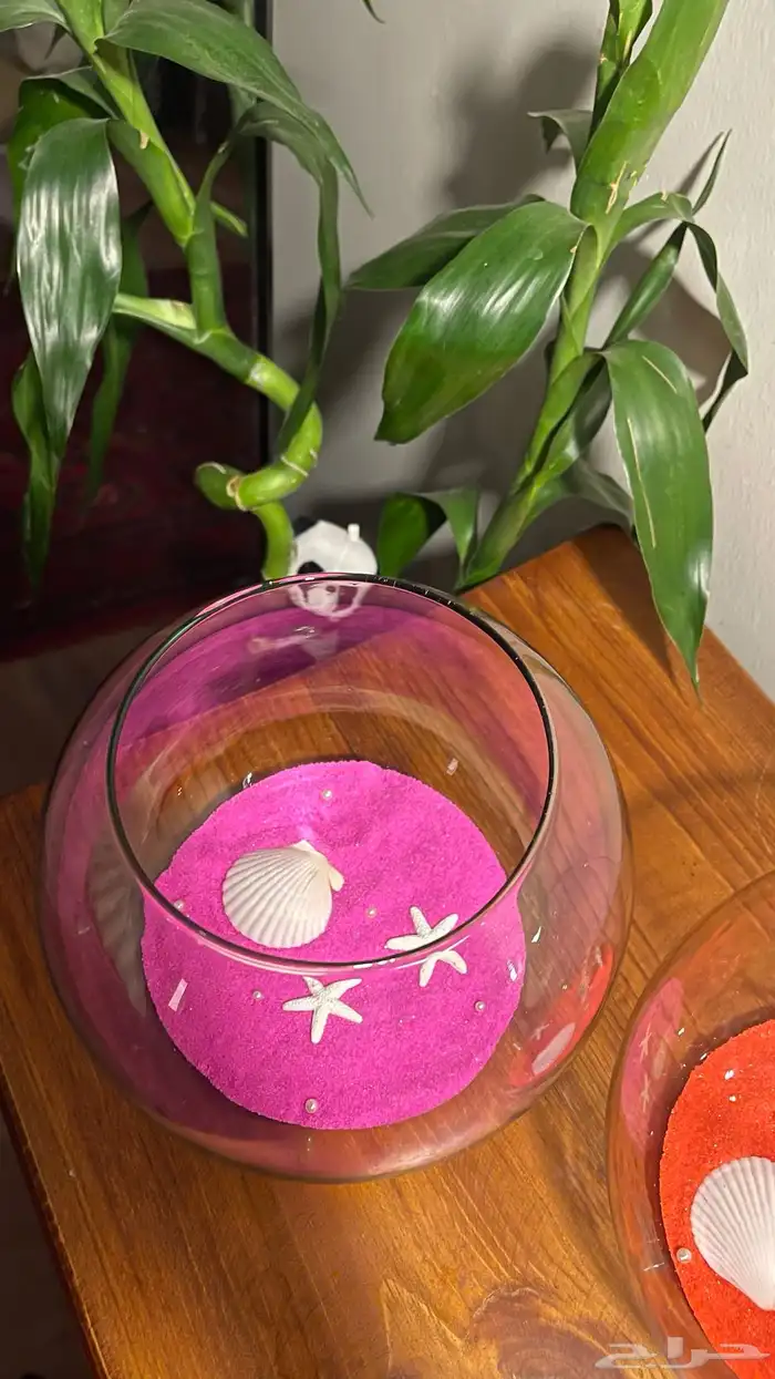 عرض حوض منسق مع سمك الفايتر ب52 2