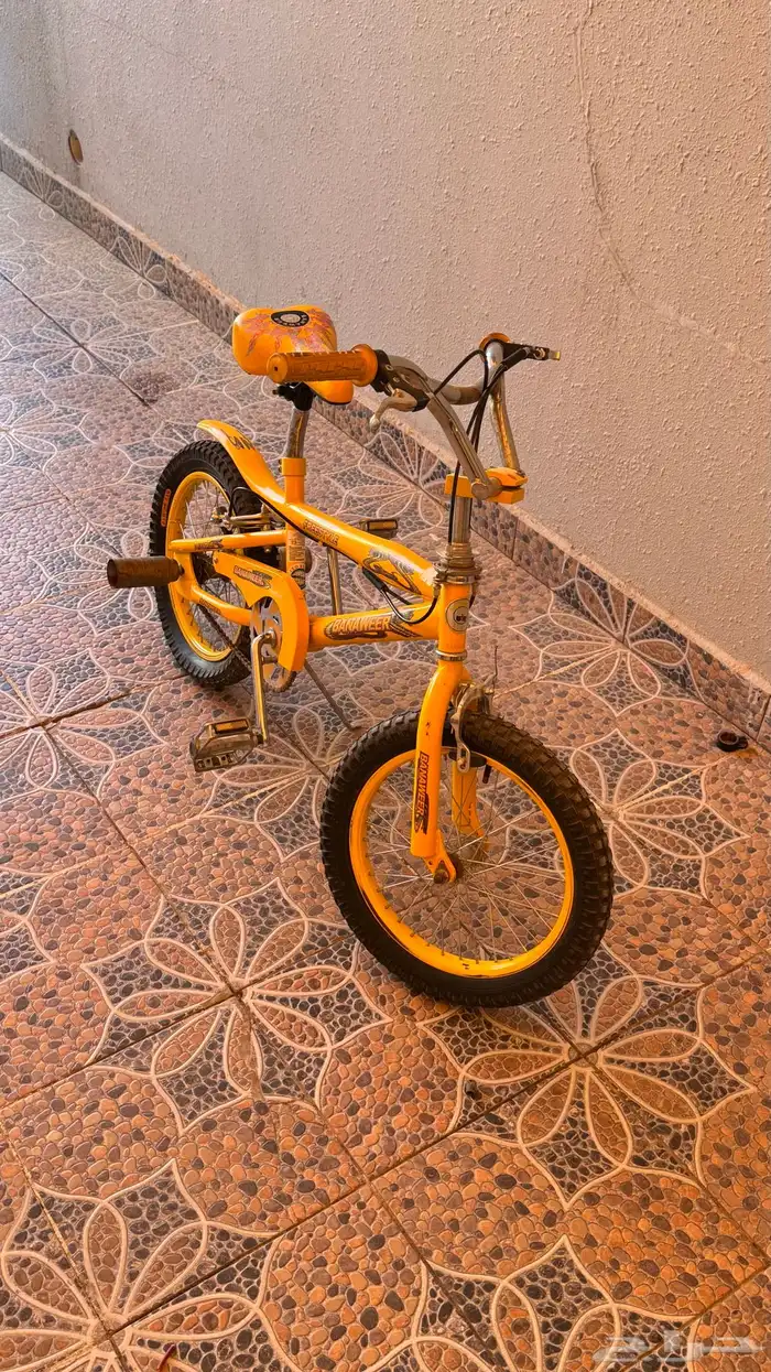 سيكل رياضي و اثنين سيكل كوبرا 5