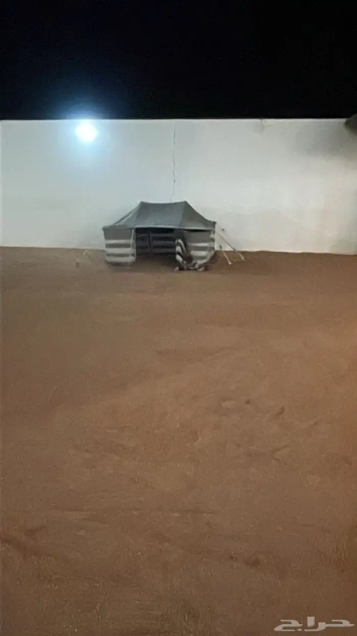 مخيم الصقر للأيجار اليومي 11