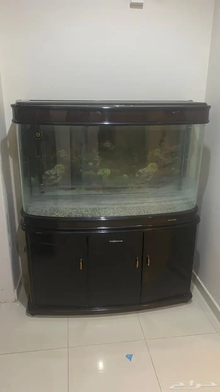 كنب ابيض للبيع 1