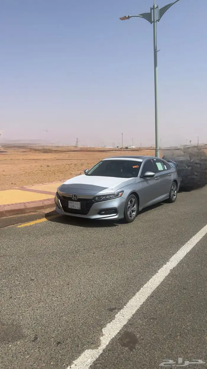 هونداء اكورد 0