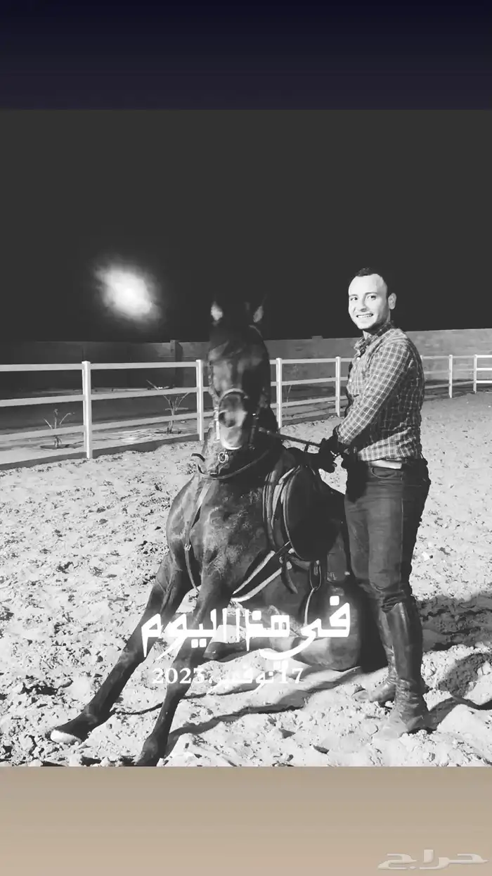 إيواء خيل 900 اربع وجبات شامل كل شيئ 1