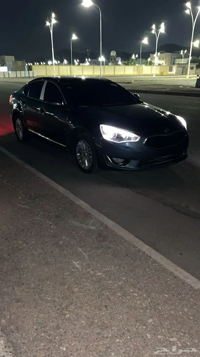 كادينزا 2015 11