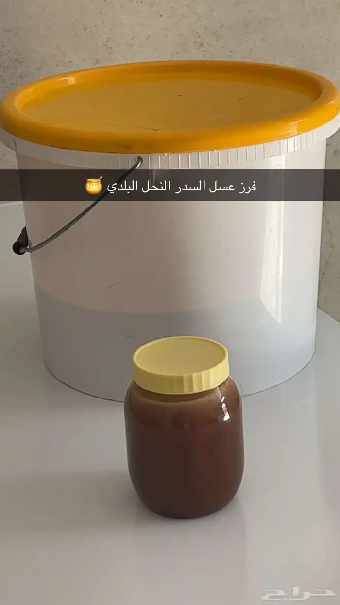 عسل سدر 0