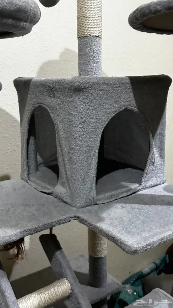 بيت قطط كبير 5