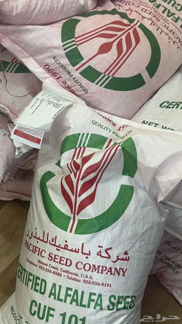 بذور برسيم كاف 101 0