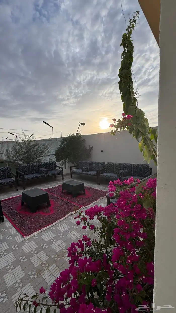 شالية ومربط للإيجار 11