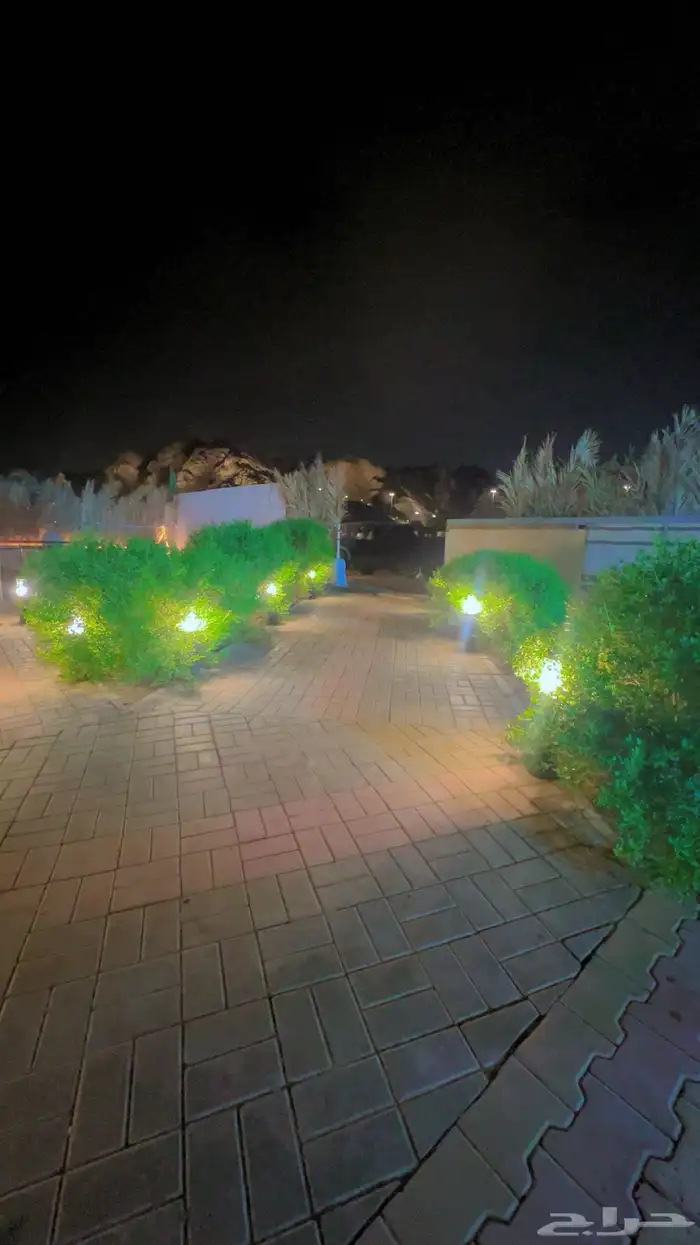 ايواء اسطبل مشعل طيبة ( الجرف) 10