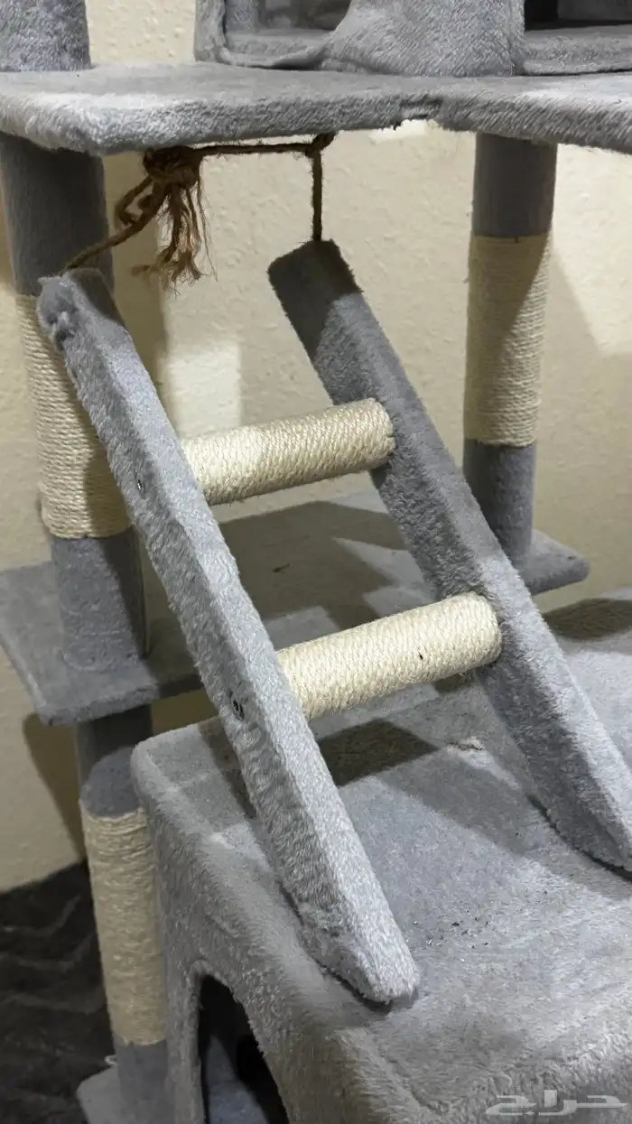 بيت قطط كبير 7