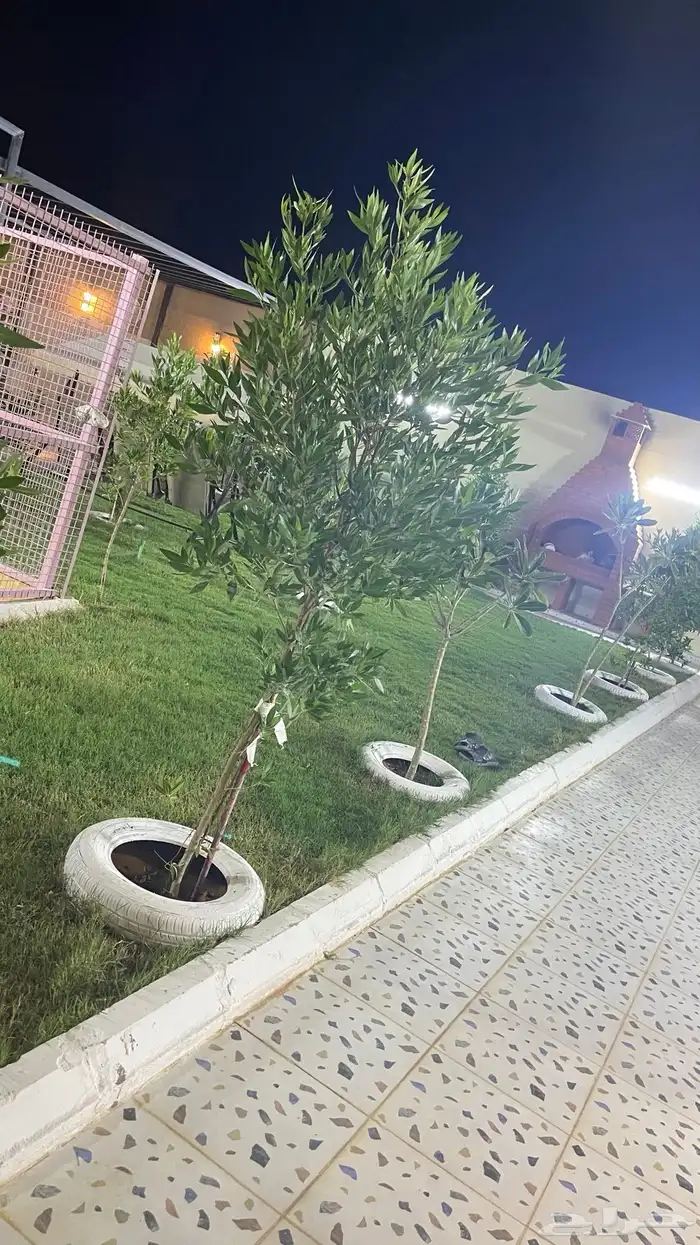 استراحه وشاليه اسطنبول 8