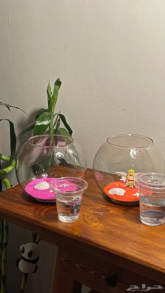 عرض حوض منسق مع سمك الفايتر ب52 0