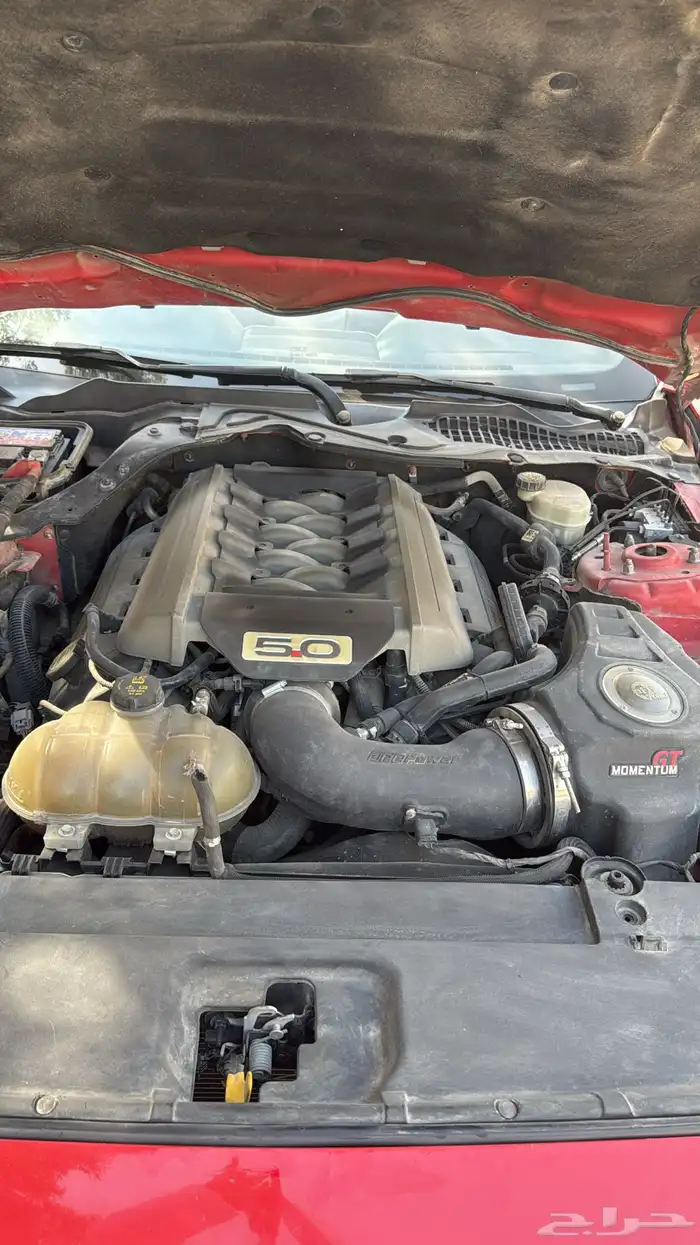 موستنق V8 بودي وكاله ممشى 190 لون احمر 9