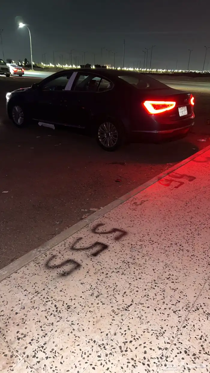 كادينزا 2015 9