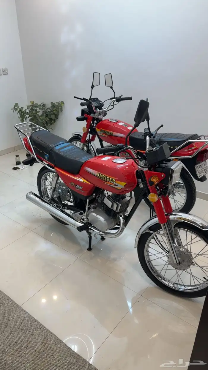 دباب اكس ميه وارد بن ثابت 1