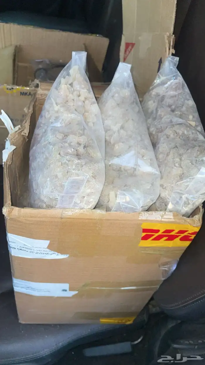 لبان عماني حوجري رقم1 1