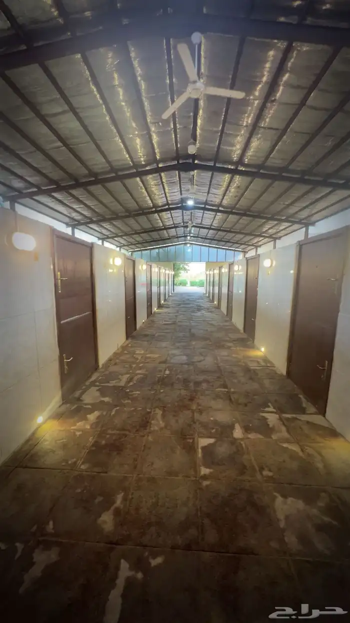 ايواء اسطبل مشعل طيبة ( الجرف) 17