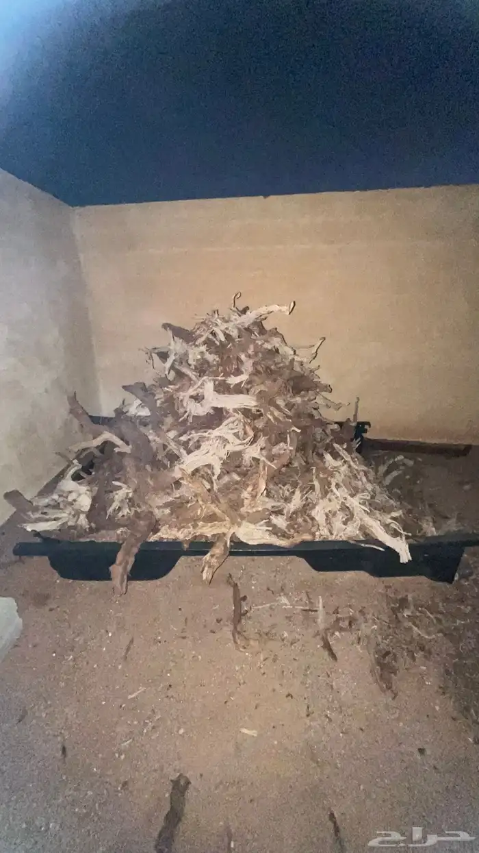 حطب مستورد 0