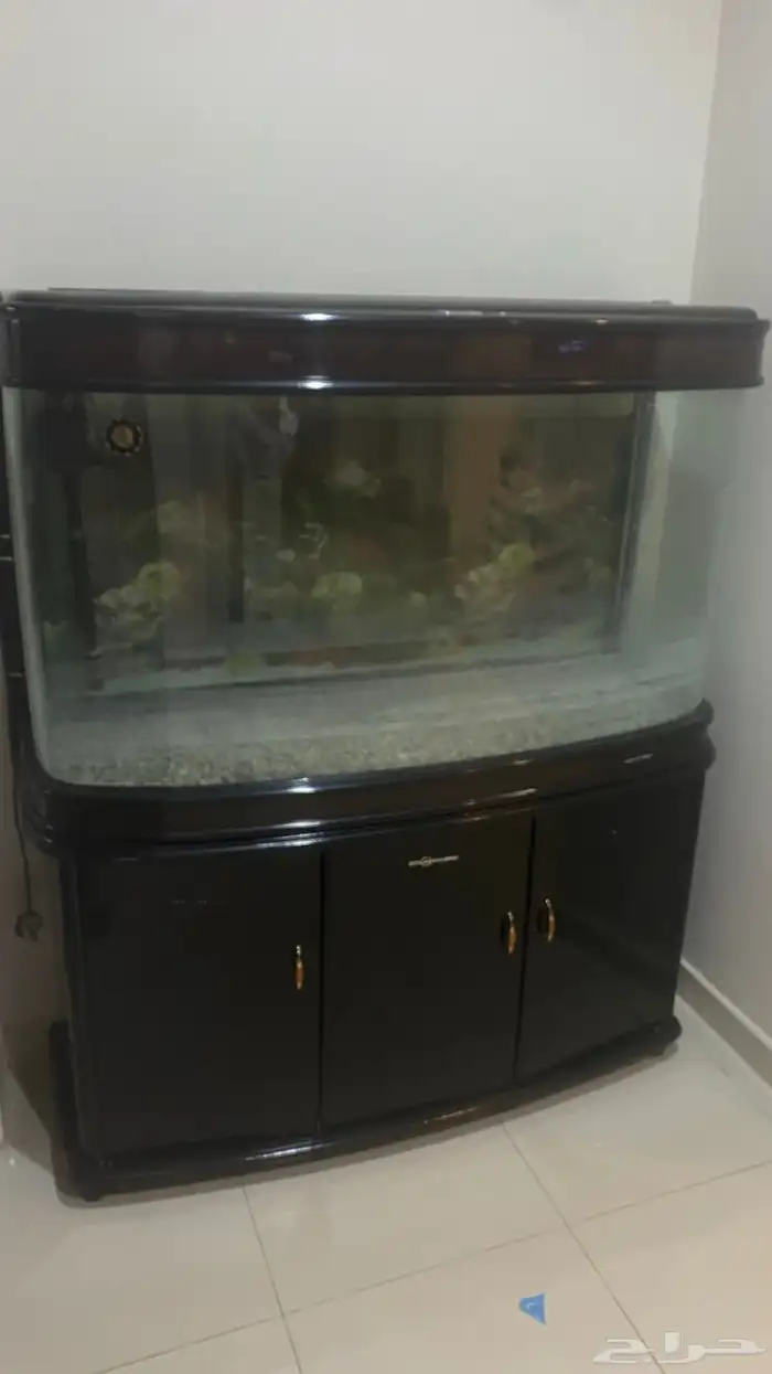 كنب ابيض للبيع 0