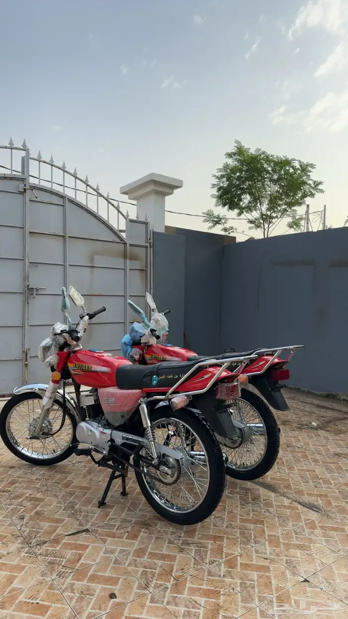 دباب اكس ميه وارد بن ثابت 4