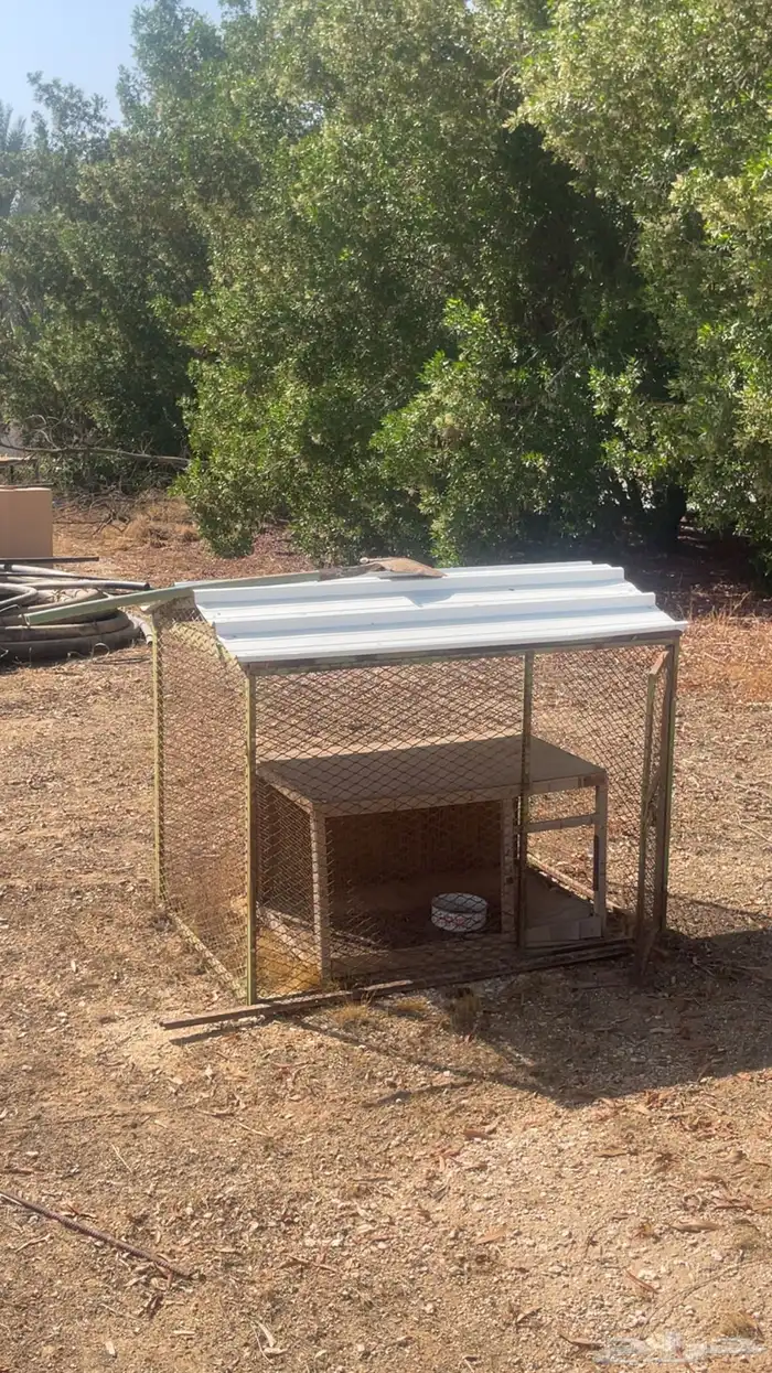 عشه صندقه عشش صنادق 0