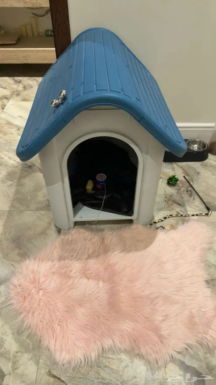 اغراض قطوه 0