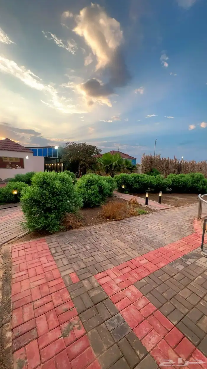 ايواء اسطبل مشعل طيبة ( الجرف) 3