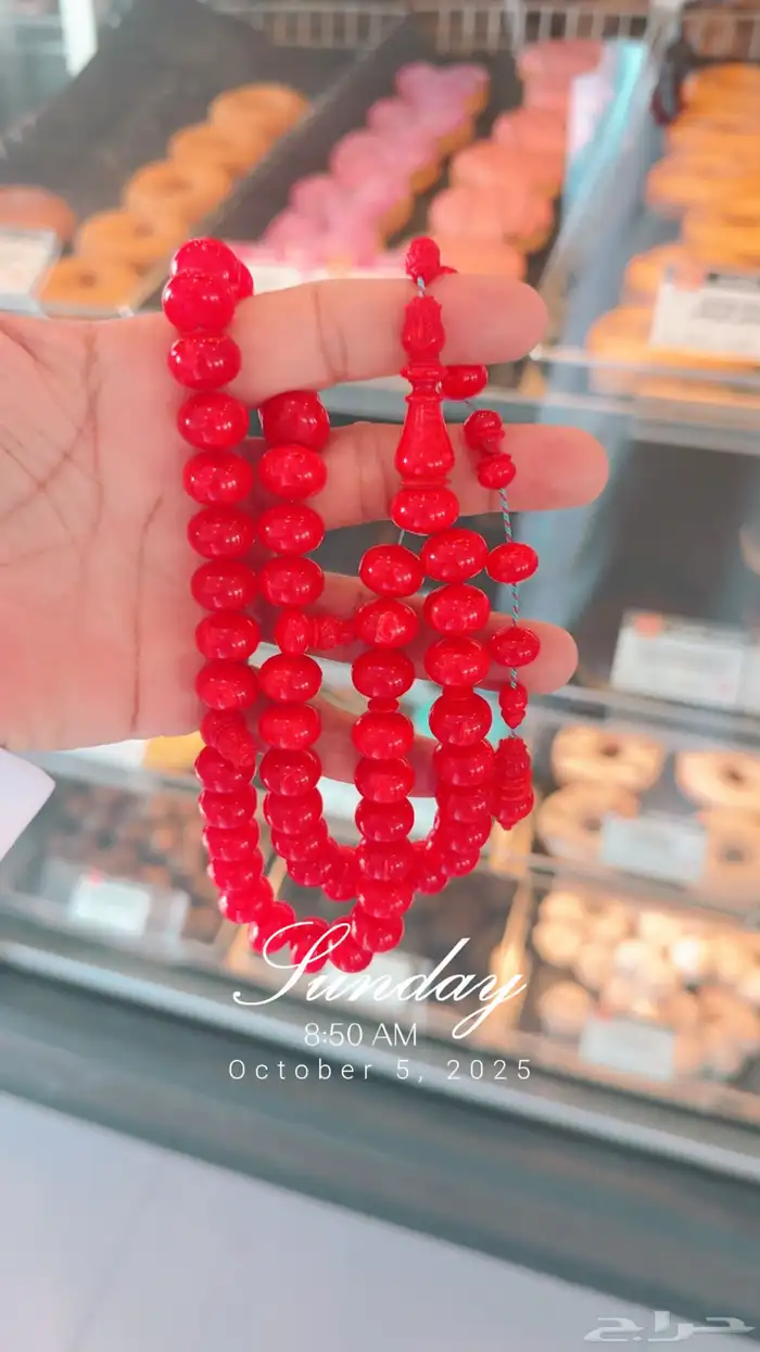 سبحة من أفياش أمريكية حجم راهي ذروي 1