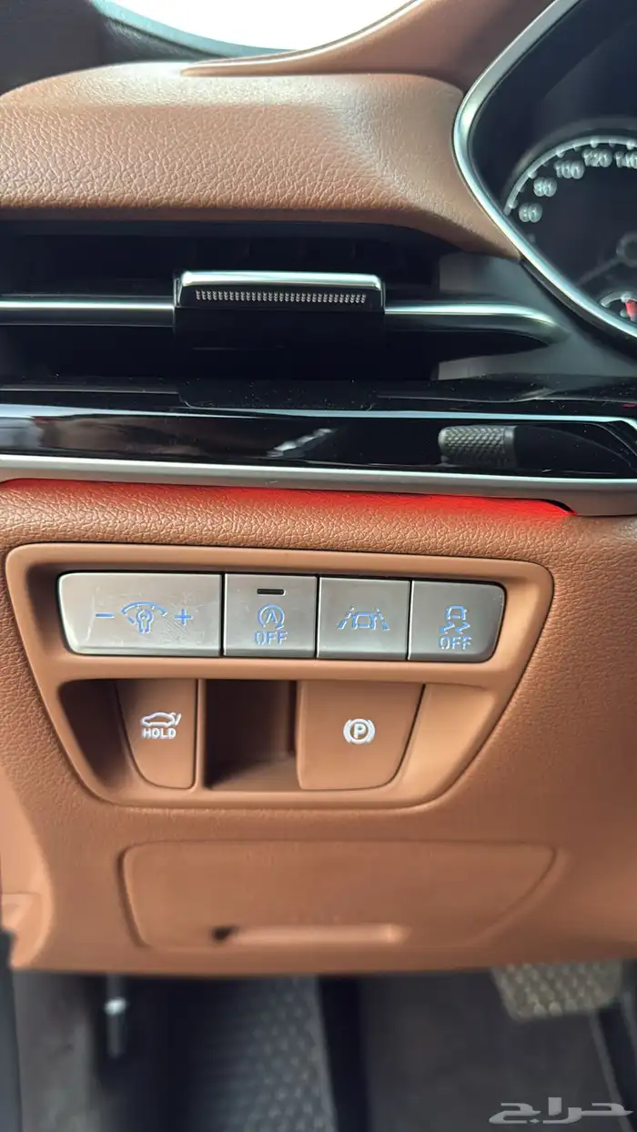 جنسس g80 2021 28