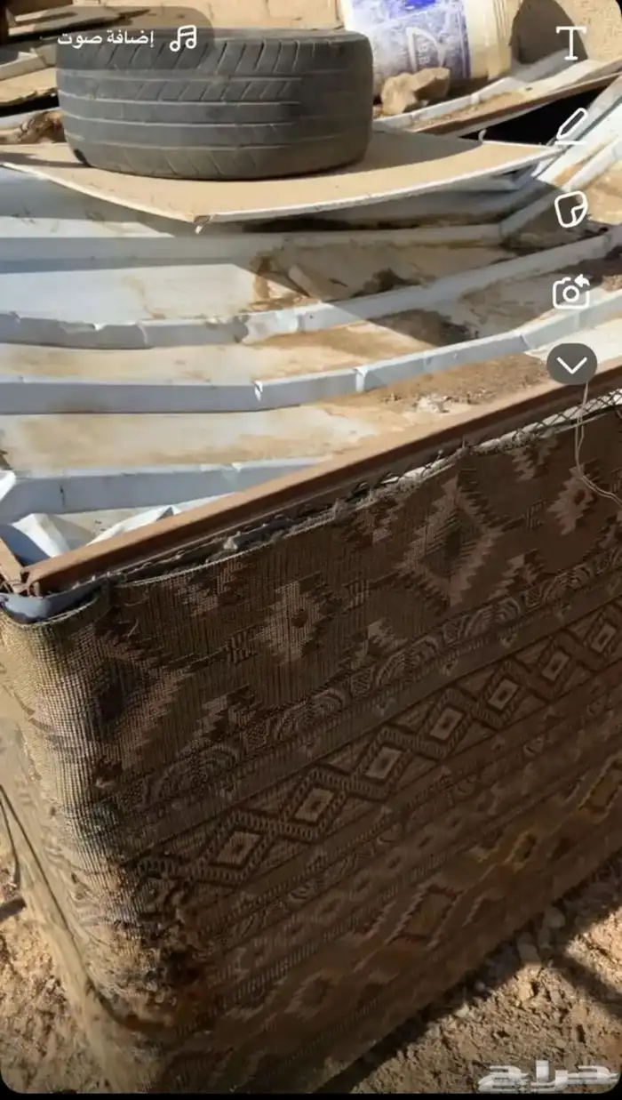 شبوك طيور للبيع 1