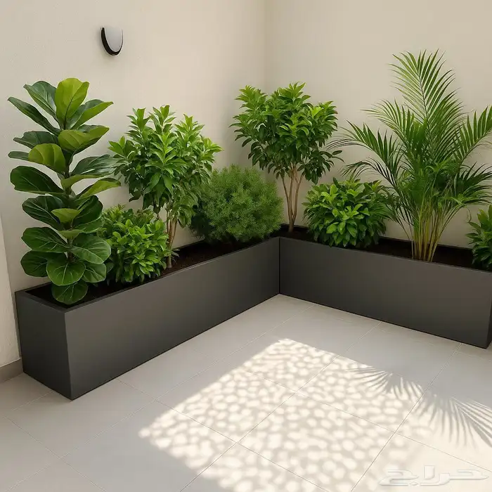 مهندس زراعي متخصص في تنسيق الحدائق وزراعة الأشجار والفلل 0