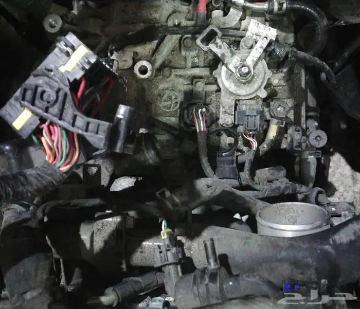 مكاين مكينه قير برادو اف جي فورشنر سكويا شاص لكزس تا ندرا 3