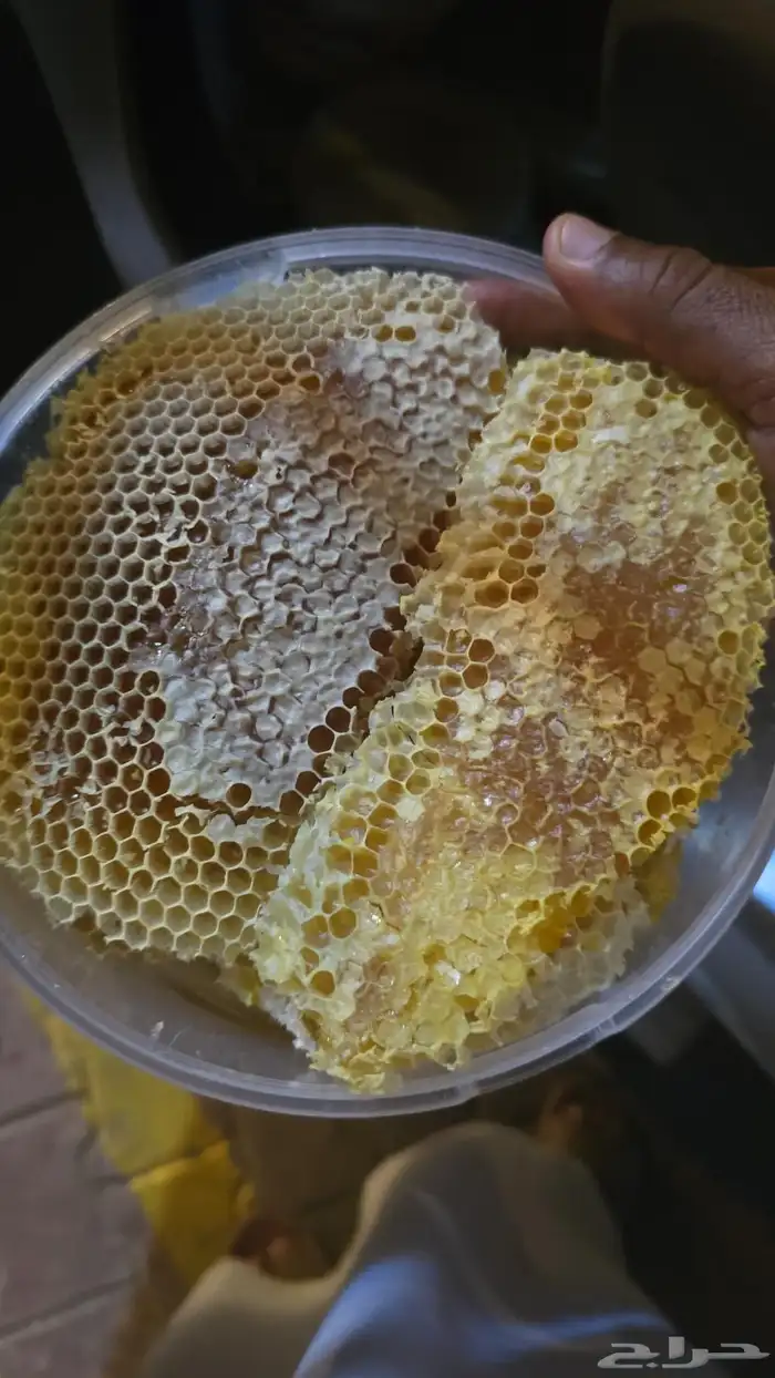 بلاد العوامر 0