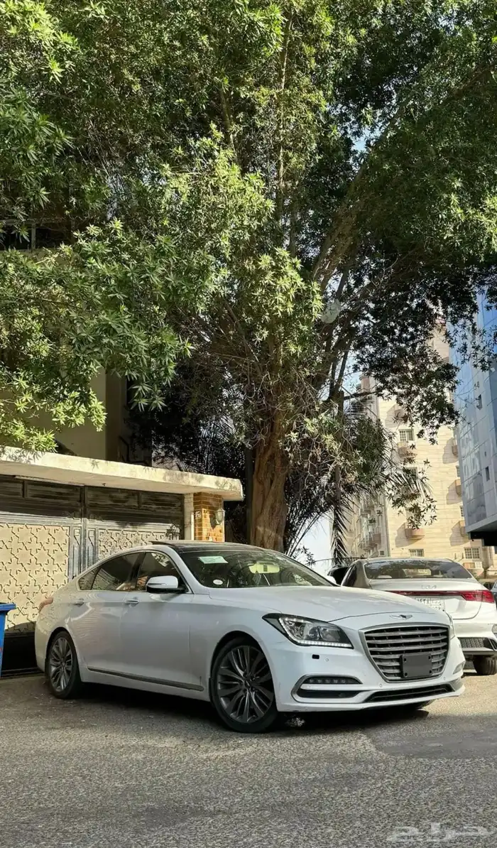 جنسس 2018 عليها (حادث) 2