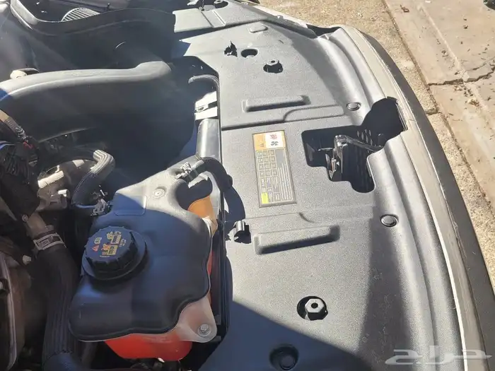 بطانة علوية موستنج 2013-2014 1